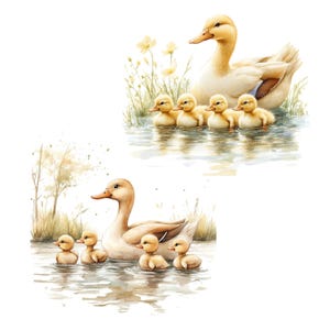 17 Clipart di mamma e anatroccolo, Clipart di anatre, Clipart di acquerelli stampabili, Lavoretti di carta, Diari di scarto, JPG di alta qualità, Download digitale immagine 10