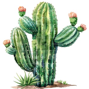 16 Cactus Clipart, Paisagem de cactos, Clipart de aquarela para impressão, Artesanato em papel, Diários de lixo, JPGs de alta qualidade, Download digital