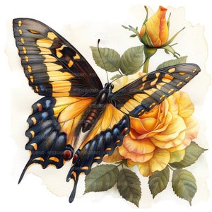 15 clipart de borboleta em rosas, clipart de borboleta, rosas, clipart em aquarela para impressão, artesanato em papel, JPGs de alta qualidade, download digital
