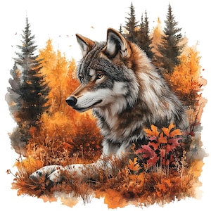 15 Clipart lupo in autunno, Clipart lupo, Clipart acquerello stampabile, Artigianato di carta, Diari spazzatura, JPG di alta qualità, Download digitale