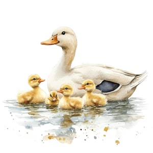 17 Clipart di mamma e anatroccolo, Clipart di anatre, Clipart di acquerelli stampabili, Lavoretti di carta, Diari di scarto, JPG di alta qualità, Download digitale immagine 1