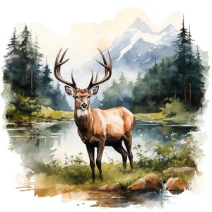 19 herten in bos clipart, herten clipart, afdrukbare aquarel clipart, Paper Craft, ongewenste tijdschriften, hoge kwaliteit jpg's, digitale download