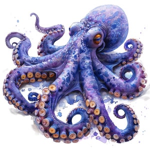 12 octopus clipart, Fulcolor octopus clipart, afdrukbare aquarel clipart, Paper Craft, ongewenste tijdschriften, hoge kwaliteit jpg's, digitale download