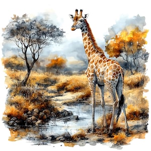 16 giraffe clipart, giraffen aquarel, afdrukbare aquarel clipart, Paper Craft, ongewenste tijdschriften, hoge kwaliteit jpg's, digitale download