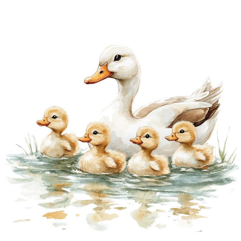 17 Clipart di mamma e anatroccolo, Clipart di anatre, Clipart di acquerelli stampabili, Lavoretti di carta, Diari di scarto, JPG di alta qualità, Download digitale immagine 3