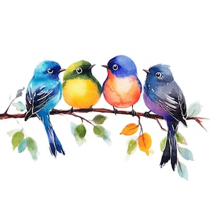 16 uccellini colorati e carini seduti su un ramo, clipart di uccelli, clipart di acquerelli stampabili, lavori di carta, JPG di alta qualità, download digitale