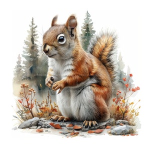 May include: A watercolour painting of a red squirrel sitting on a rock with a woodland background. The squirrel has a bushy tail and is looking to the left. The background is a watercolour wash of green and brown.