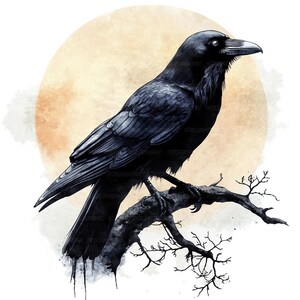 13 Raven on Tree Branch Clipart, Crow Clipart, Printable Watercolor ...