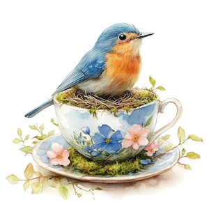 22 Clipart di uccelli e tazze da tè, Clipart di uccelli carini, Clipart di acquerelli stampabili, Creazioni con carta, JPG di alta qualità, Download digitale