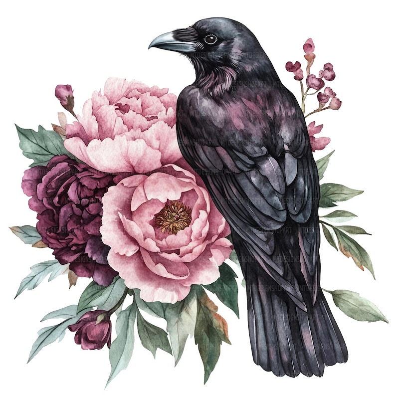 May include: A black raven perched on a bouquet of pink and burgundy peonies. The raven has a dark, glossy plumage and a sharp beak. The peonies are in full bloom, with delicate petals and a lush green foliage.