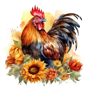 19 cliparts tournesols coq, fleurs d'automne, clipart aquarelle imprimable, créations en papier, journaux indésirables, JPG de haute qualité, téléchargement numérique