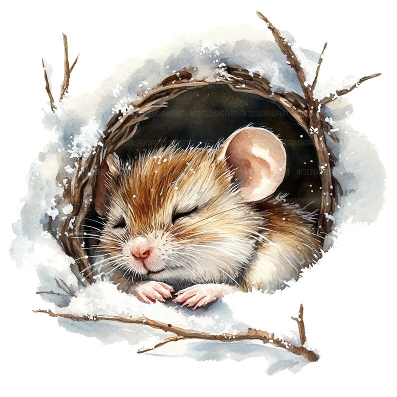 17 Mouse Hole Clipart, Sleeping Mouse, Printable Watercolor Clipart ...