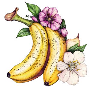 16 Blumen Bananen Clipart, Bananen Clipart, druckbare Aquarell Clipart, Papiermodelle, Junk Journals, hochwertige JPGs, digitaler Download