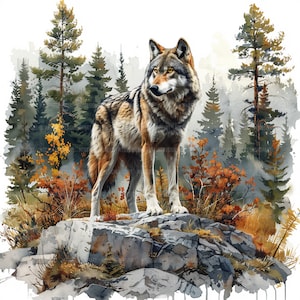 Clipart loup sur rocher, clipart aquarelle imprimable, créations en papier, journaux indésirables, fabrication de cartes, fichiers JPG de haute qualité, téléchargement numérique Jpg