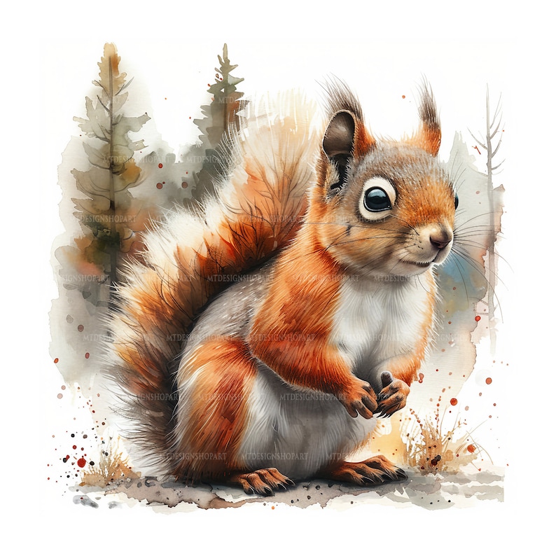 May include: A watercolour painting of a red squirrel with a bushy tail, sitting on a rock in a woodland setting. The squirrel has a white belly and brown eyes. The background is a watercolour wash of green and brown, with hints of red.