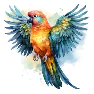 17 imágenes prediseñadas de loros coloridos, imágenes prediseñadas de loros, imágenes prediseñadas de acuarela imprimibles, manualidades de papel, revistas basura, archivos JPG de alta calidad, descarga digital