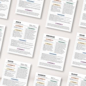 Bible Character Study Guide, Bible Study Notes, 93 Bible Character Summaries, Women of Faith, Old & New Testament Bible Study Planning Tool image 7