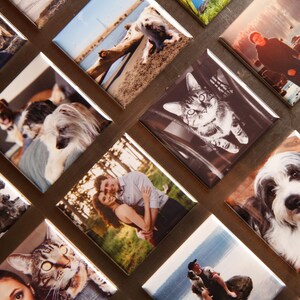 May include: A collection of square photo magnets featuring various images. The images include pets, couples, and outdoor scenes. The magnets are arranged on a dark brown surface, creating a visually appealing display.