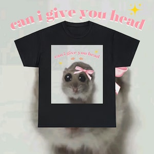 sad hamster meme &quot; can i give you head &quot; as gift for her