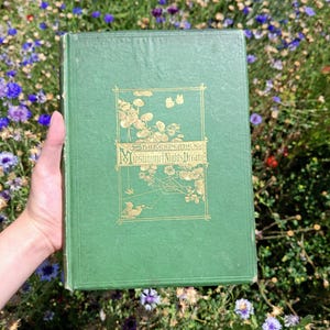 Stunning antique edition of Shakespeare’s A Midsummer Night&#39;s Dream | William Shakespeare | The Bard | Roberts Brothers | 1870