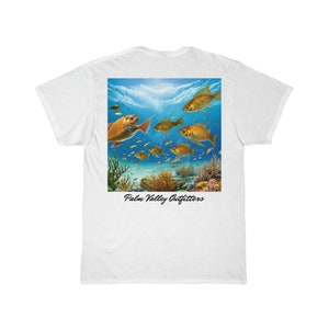 School of Fish - PVO