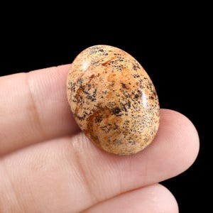 May include: A brown and black oval-shaped gemstone with a speckled pattern.