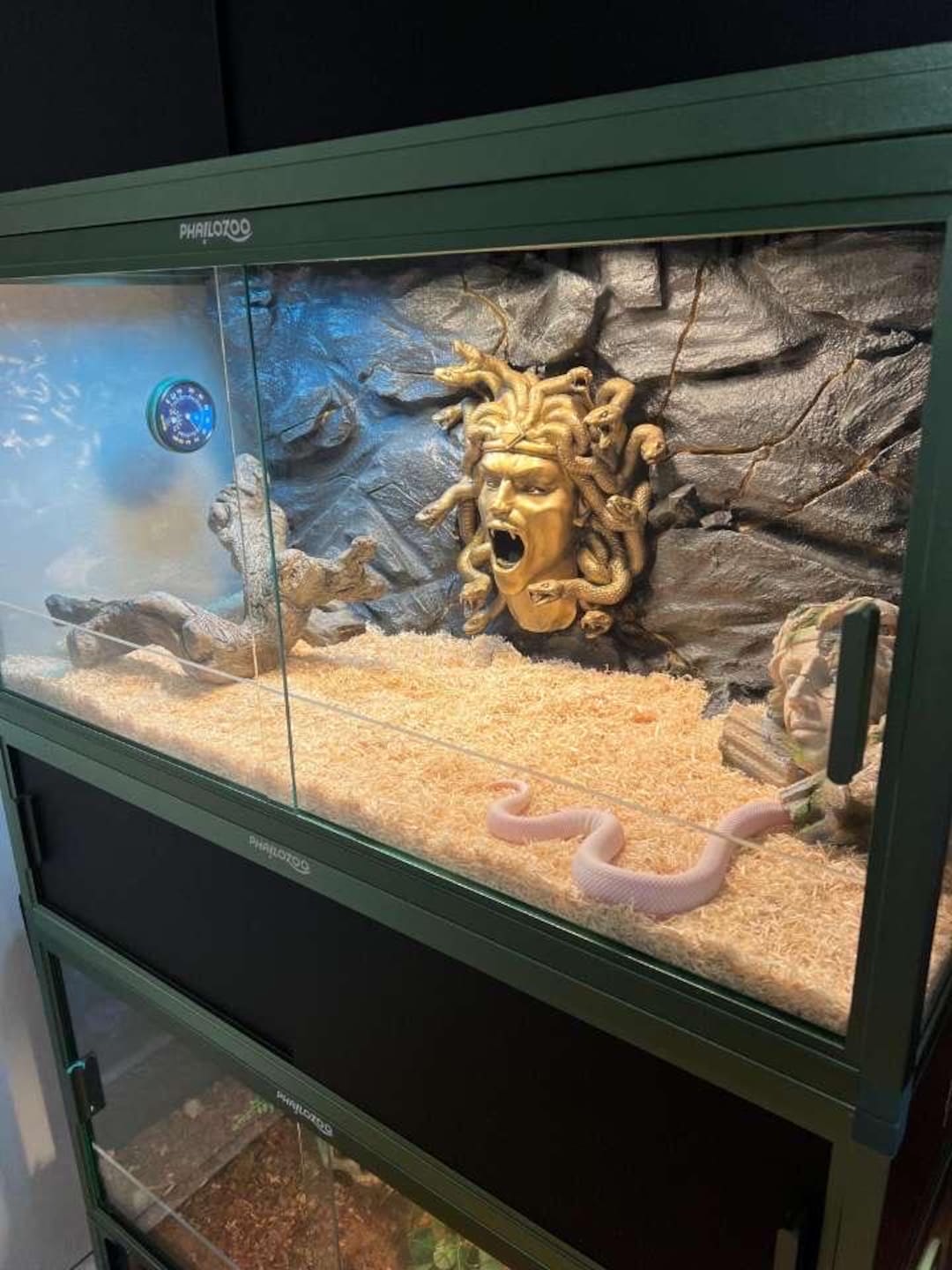 Quote for Ultra Custom Terrarium Background: Handcrafted Reptile ...