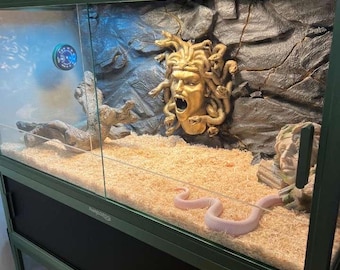 Orçamento para fundo de terrário ultra personalizado: decoração artesanal para recinto de répteis