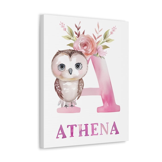 Personalized Nursery Name Sign Pink Wall Decor Framed Nursery Art for Girls Bedroom Sign Custom Baby Gift for Toddler Girl Wall Art Custom