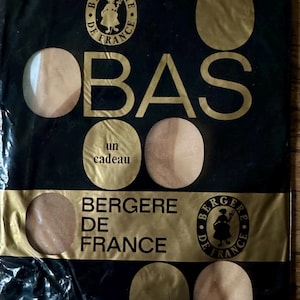 Vintage RHT Stockings Bergère de France Nylon Stockings