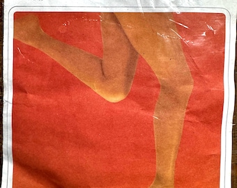 Vintage RHT Nylon Stockings with Reinforced Soles by D’ASSAS Stockings