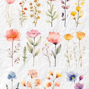 Watercolor Flower Clipart Bundle: 60 PNG Elements (Digital Download)