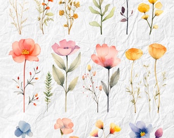 60 Watercolor Flower Elements, Clipart, Graphic Bundle, Watercolor Flowers Png, Commercial Use, Digital Download, easily edit with Canva.
