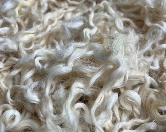 Könnte beinhalten: Eine Ansammlung von rohen, ungesponnenen Schafwoll-Locken in einer natürlichen Farbpalette aus Off-White und Creme. Die Fasern sind lang, glänzend und weisen eine ausgeprägte wellige, lockige Textur auf, die die einzelnen Strähnen des Vlieses zeigt.