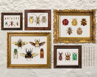 Insect Bug Art Print Bundle Set Oddities Beetle Moth Home Decor (Digital Download)