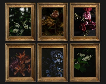 Dark Floral Art Print Bundle Set Gothic Gallery Wall Home Decor (Digital Download)