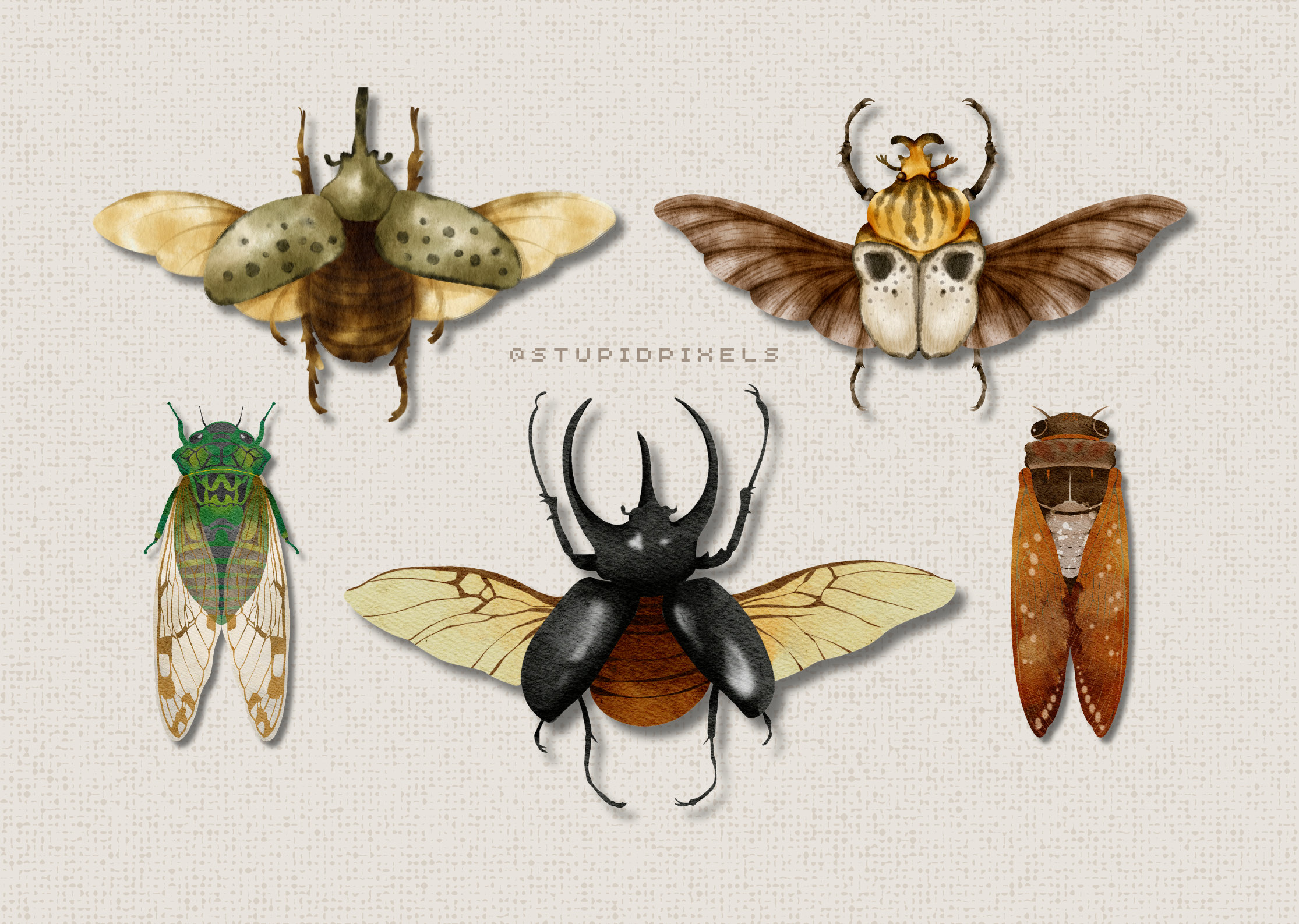 Insect Gallery Wall Set of 6 Printable Art Digital Download Bug ...