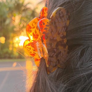 Hebrew Cone Shell print Tortoise Shell Hair Claw Clip