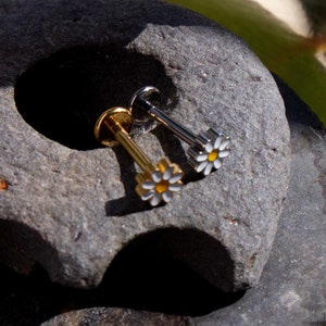 Implant Grade Titanium - Daisy Labret Bar - Enamelled - Flower Piercing Jewellery - ASTM F136 Titanium - Silver/Gold