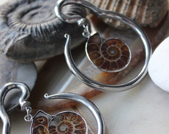 Ear Hangers - Ammonite Shell - Natural - Stainless Steel 316L - 4mm - Silver - Gauges - Tunnels - Plugs - Ear Weights