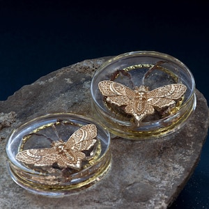 48MM (1.89&quot;) Plugs - Epoxy Resin - Double Flared - Golden Death Moth