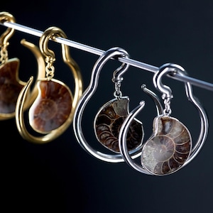Può includere: Orecchini con conchiglie di ammoniti fossilizzate, sospese all'interno di cerchi dorati e argentati. Gli orecchini sono esposti su uno sfondo scuro, mettendo in risalto gli intricati motivi a spirale dei fossili e la lucentezza metallica dei cerchi.