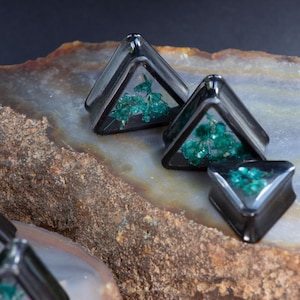 Op de afbeelding: Drie zwarte, driehoekige plugs met een helder midden, elk met een cluster van kleine, groene, bloemachtige elementen. De plugs worden weergegeven op een stenen oppervlak met bruine en grijze tinten, wat een natuurlijk contrast creëert.