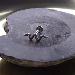 Könnte beinhalten: Ein silberfarbener Lippenpiercing mit einem detaillierten Schlangenmuster. Die Schlange ist gewunden und hat eine strukturierte Oberfläche. Das Piercing hat einen flachen Rücken und einen Gewindeschaft. Der Schmuck wird auf einer dunklen, strukturierten Oberfläche präsentiert.