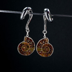 Peut inclure: Une paire de boucles d'oreilles argentées avec un pendentif en forme de fossile d'ammonite. Les fossiles d'ammonites sont de couleur brune et présentent un motif en spirale.