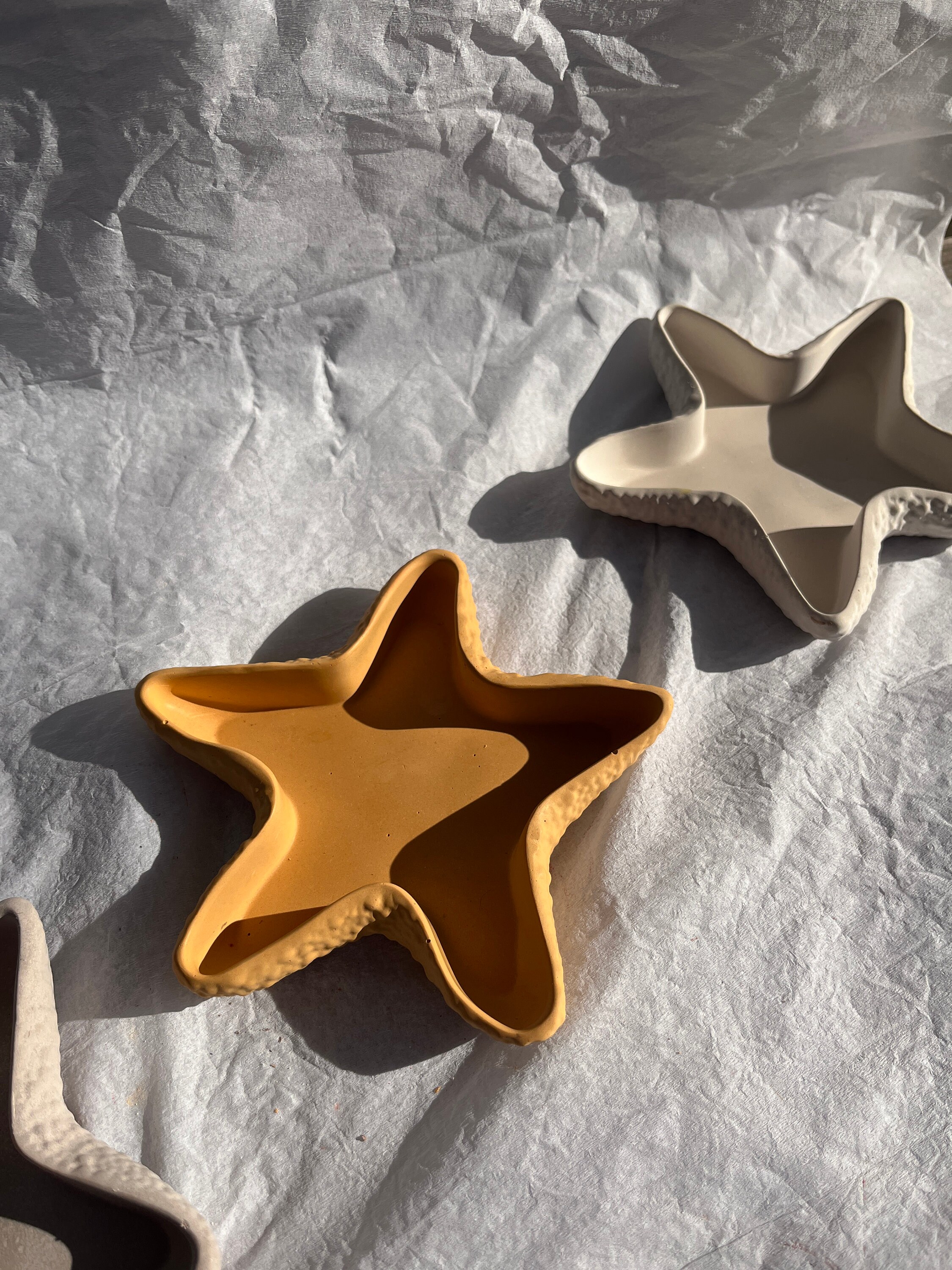 Florida Star fish aka: sea stars  Sailors valentine, Florida bay, Starfish