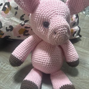 Pinky the pig
