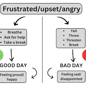 Emotion Flow Chart | Behavior Choices Visual | Anger Regulation Poster for Kids | Emotional Support for Autism & ADHD | Printable SEL Tool
