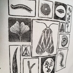 May include: A white fabric with a repeating pattern of black linocut illustrations. The images include a centipede, a ginkgo leaf, a moth, a spiral shell, and other botanical and insect designs. The artwork is arranged in a grid.
