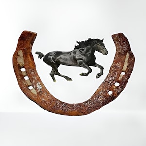 Divine Iron Yantra: Original Black Horse Shoe/Kale Ghode ki Naal Decorative Showpiece